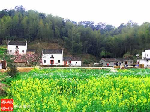 ��Դ��Դ�L��