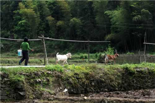 ��Դ��Դ�L��