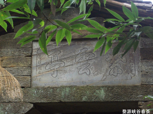 ��Դ����ͤ