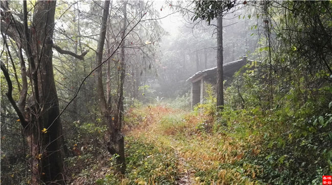 &nbsp;��Դ��Դ�L��