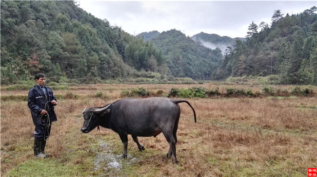 ��Դ��Դ�L��