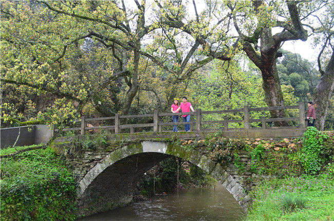 ��Դ��Դ�L��