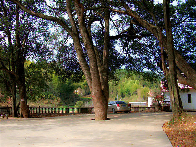 ��Դ��Դ�L��