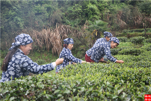 ��ɽ�{�ȴ���@