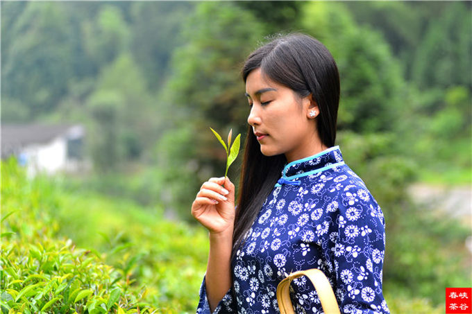 ��ɽ�{�ȴ���@