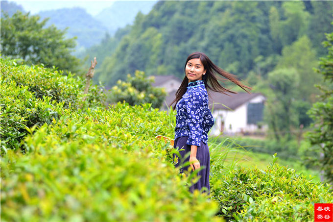 ��ɽ�{�ȴ���@