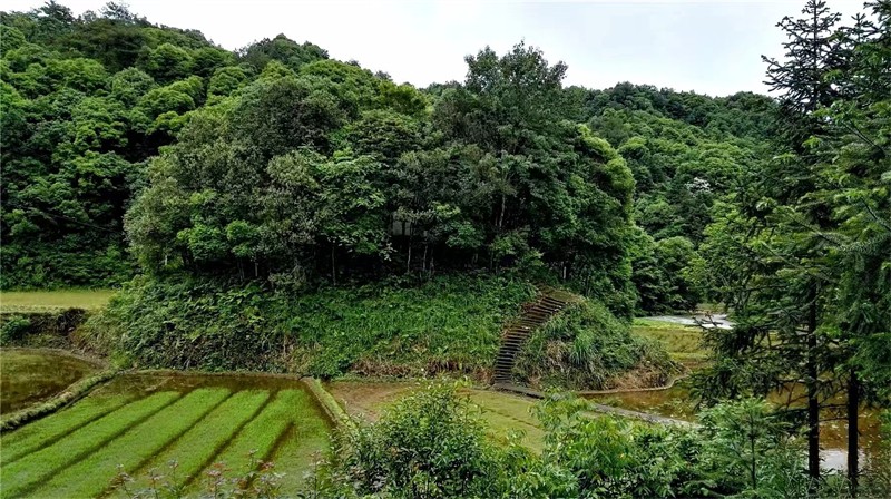 ��Դ��Դ�L��