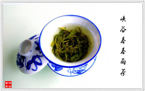 ��ҹ�T����˼�ڵ�Ʒ�{�ȴ���