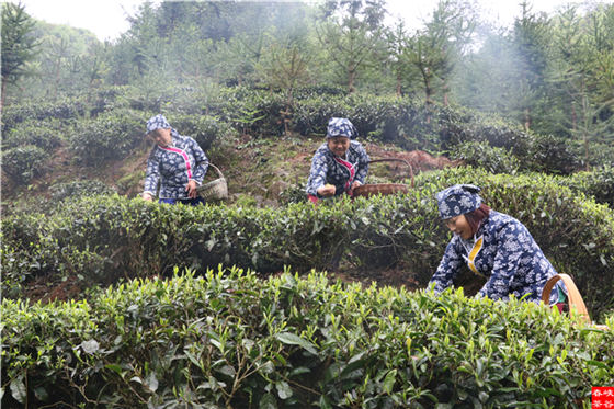 ��Դ����