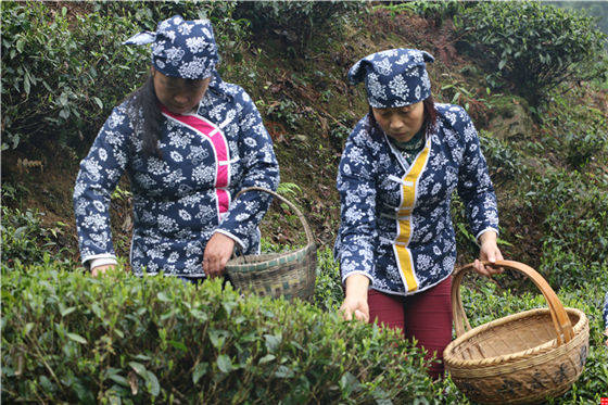 �������P֪�R