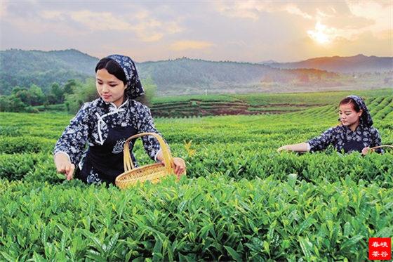 �Ї��裺�~�}�c�⾳