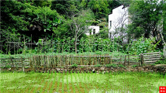 Ʒ���Ԋ������Դ