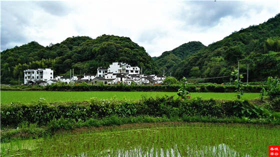 Ʒ���Ԋ������Դ