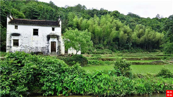 Ʒ���Ԋ������Դ