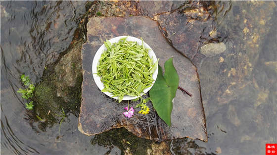 Ʒ��Ԋ������Դ