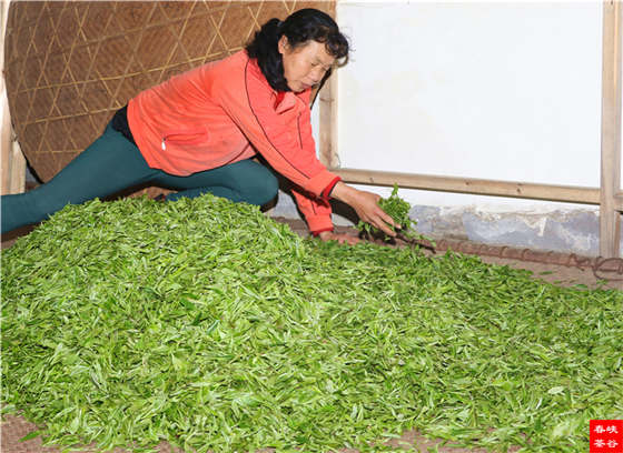 Ʒ��Ԋ������Դ