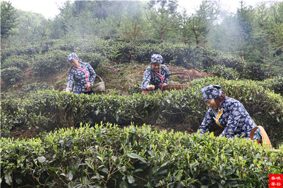 Ʒ��Ԋ������Դ