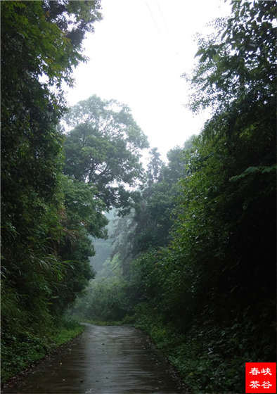 Ʒ��Ԋ������Դ