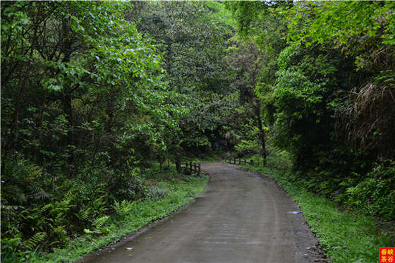 Ʒ��Ԋ������Դ