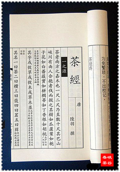 �轛���V���