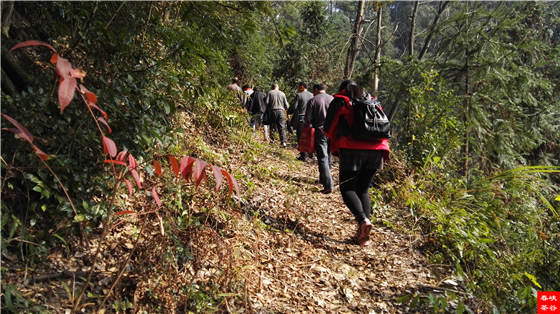 �����壺����һ���