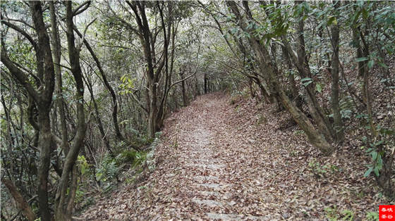 �����壺����һ���