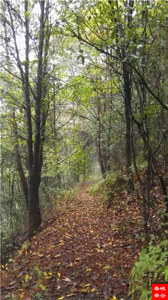 �����壺����һ���