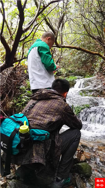 �����壺����һ���