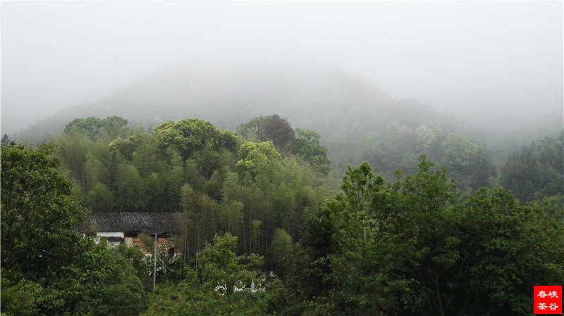 ��Դ��Դ�L��