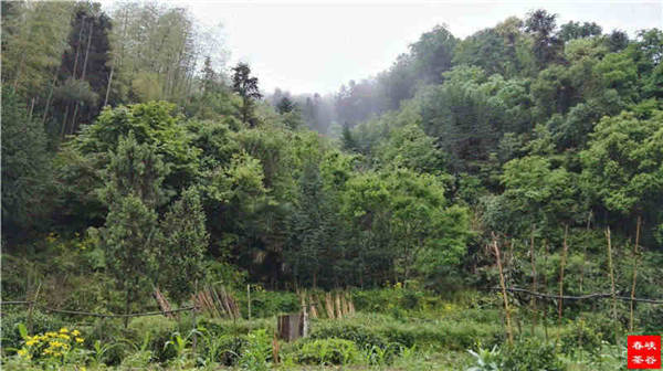 �l����������Դ������߀���{�ȴ�