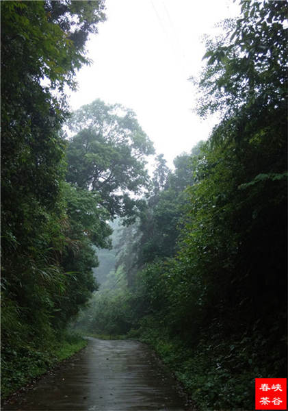 �l����������Դ������߀���{�ȴ�