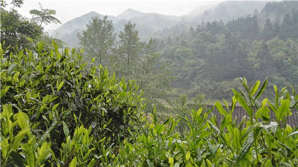 �l����������Դ������߀���{�ȴ�