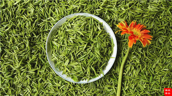 �l����������Դ������߀���{�ȴ�