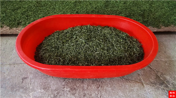 �l����������Դ������߀���{�ȴ�