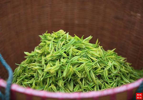 Ʒ��������