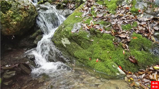 ��Դ�G�贺��