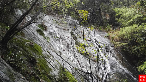 ��Դ�G�贺��