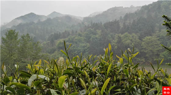 ��Դ�G�贺��