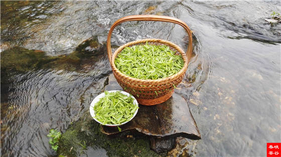 ��Դ�G�贺��