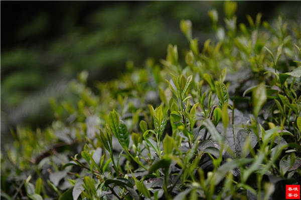 ���~�е������B��֪�R����