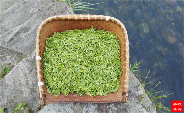 �裬����֮ԴȪ����֮�Ļ�