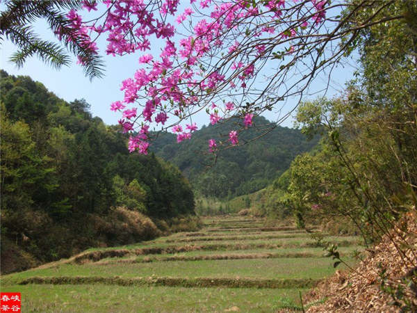 ��Դ�ļ���