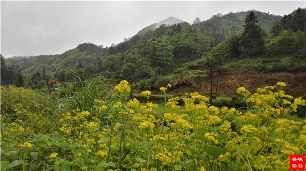 ��Դ�ļ���