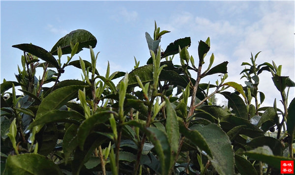 ��ɽ�{�ȴ���@