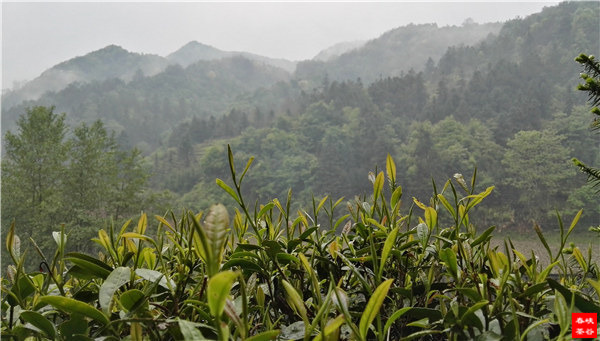 ��ɽ�{�ȴ���@