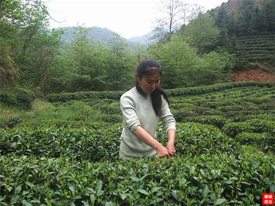 ��Դ�����~�G��