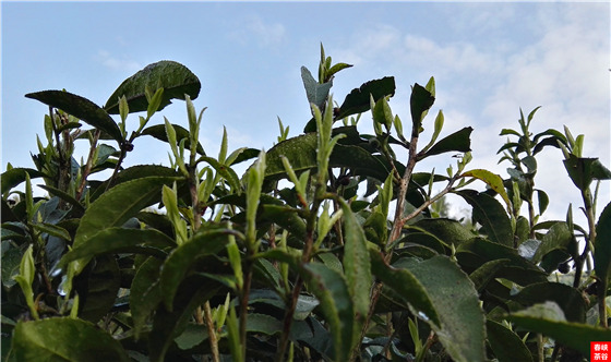 ��Դ�����~�G��