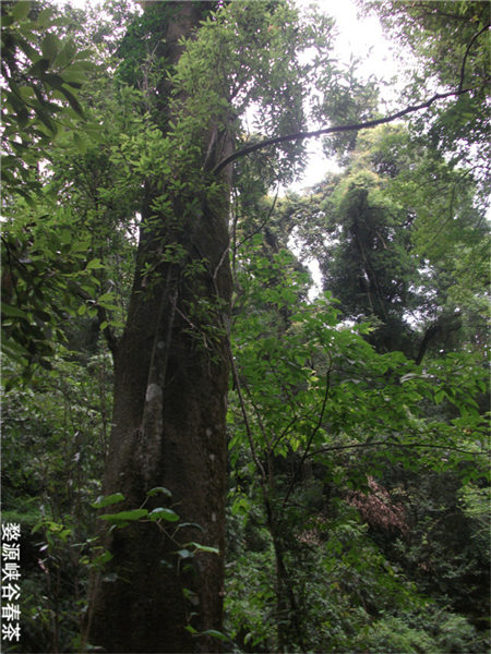 �}�{�ȴ���