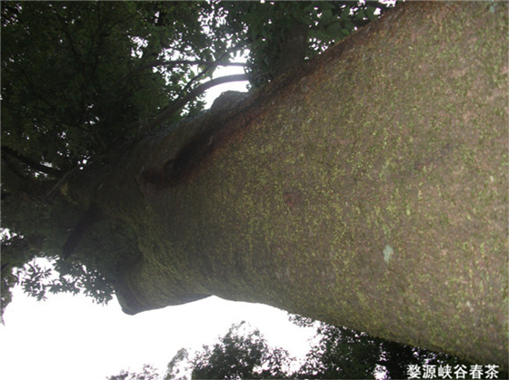 �}�{�ȴ���