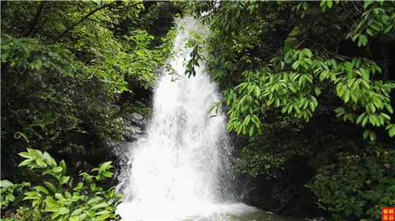 �}�{�ȴ���